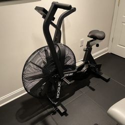 🔥 Rogue Echo Bike - Elite Air Assault Resistance!