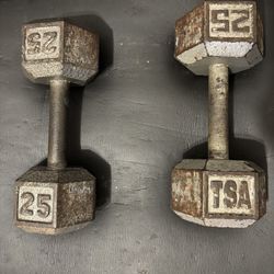 25lbs Dumbbells 