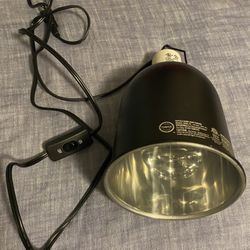 Reptile heating lamp
