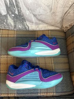 Kd 16 Royal