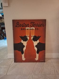 Boston Terrier