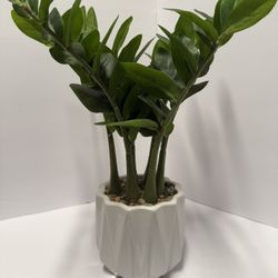 Artificial Plant