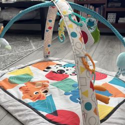 Baby Einstein Play Gym