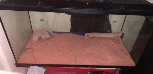 40 gallon tank