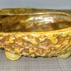 Polished Natural Abalone Shell Bowl with Pearl Feet