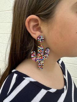 Stainless Steel Earrings 