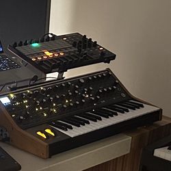 Moog subsequent 37 