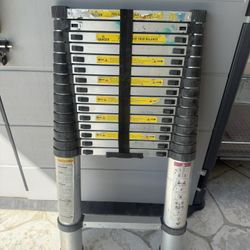 Telescopic Ladder 
