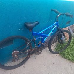 Blue Mountain Bike