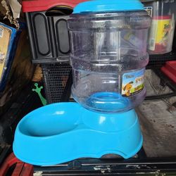 Water Bowl 