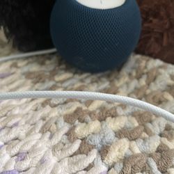 Apple Mini Pad