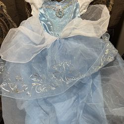 Cinderella Dress Princess