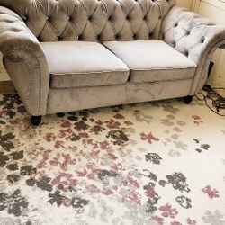 Light Grey velvet sofa 