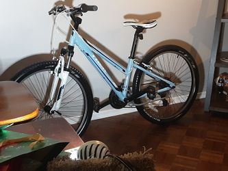 New Condition.... TREK SKYE ... Adult Ladies .. Perfect Shape And A SUPER Pretty One