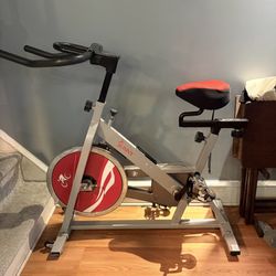 Sunny Exercise Bike