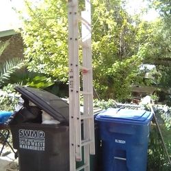 The Extending Ladder Surgery