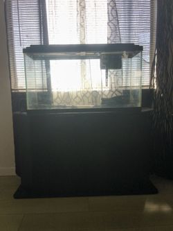 Glass Fish Tank with Stand and Filter