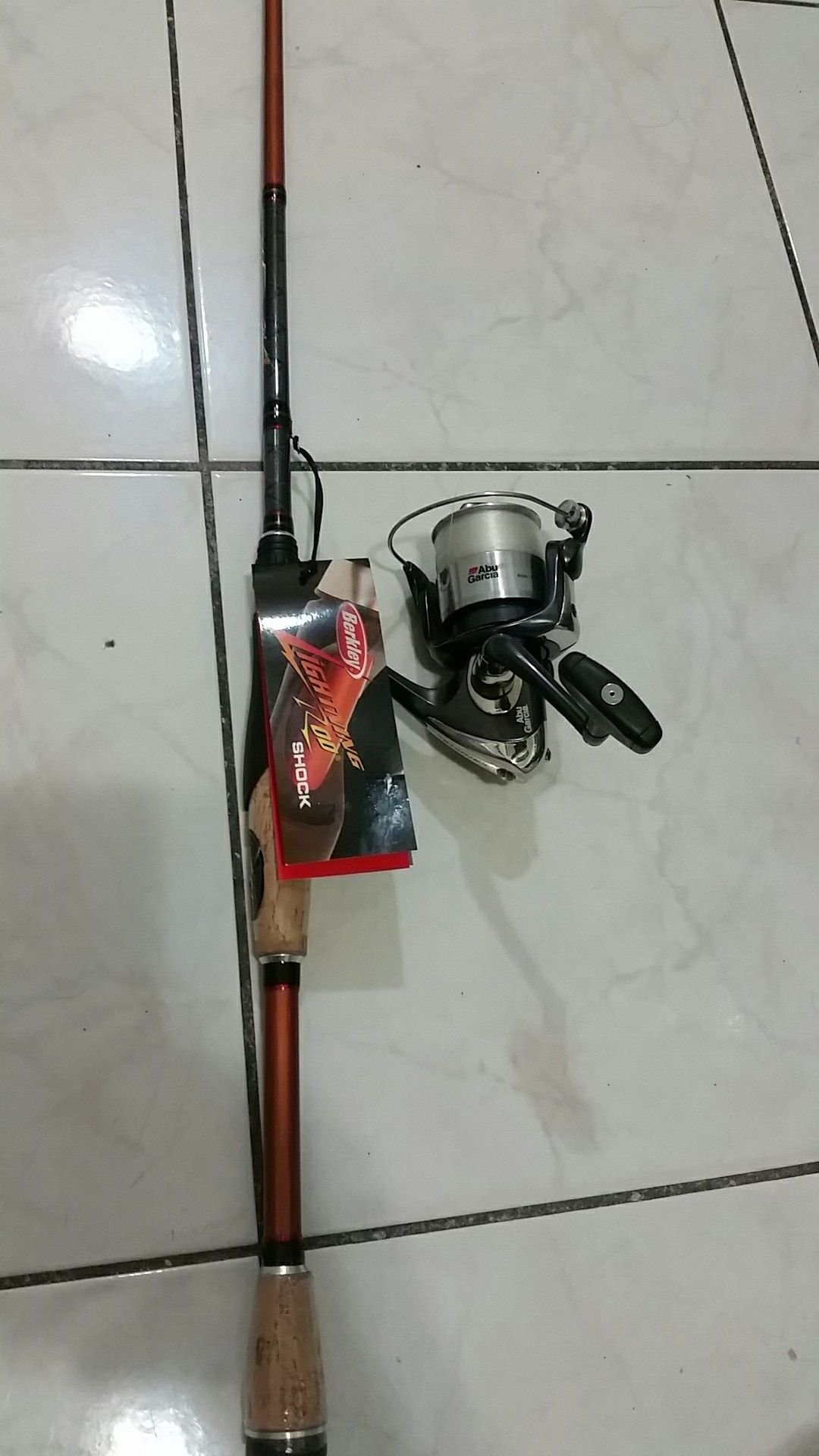 Fishing rod and reel