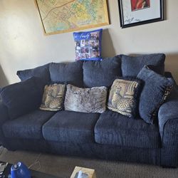 Beautiful Couch