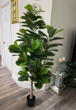 Pretty artificial plant 6 ft tall fig tree ! Brand New