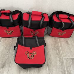 Disney Zipper  Coolers 