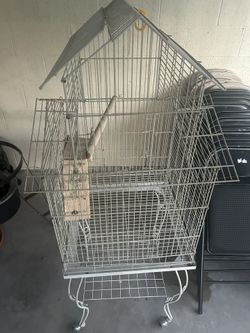 Bird Cage