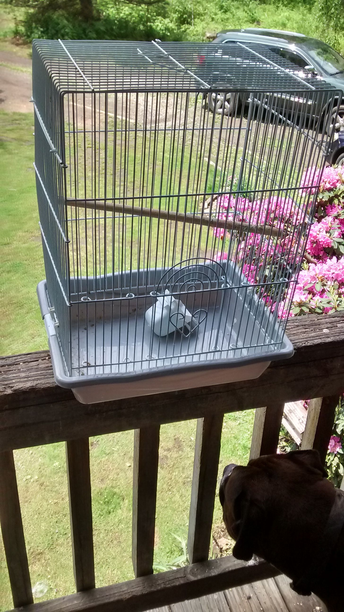 Bird Cage small