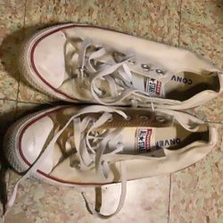 Converse Shoe  Size 8
