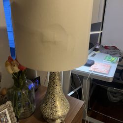 Lamp From Pier 1 Imports . Lamp Shade Is cracked but Can be replaced