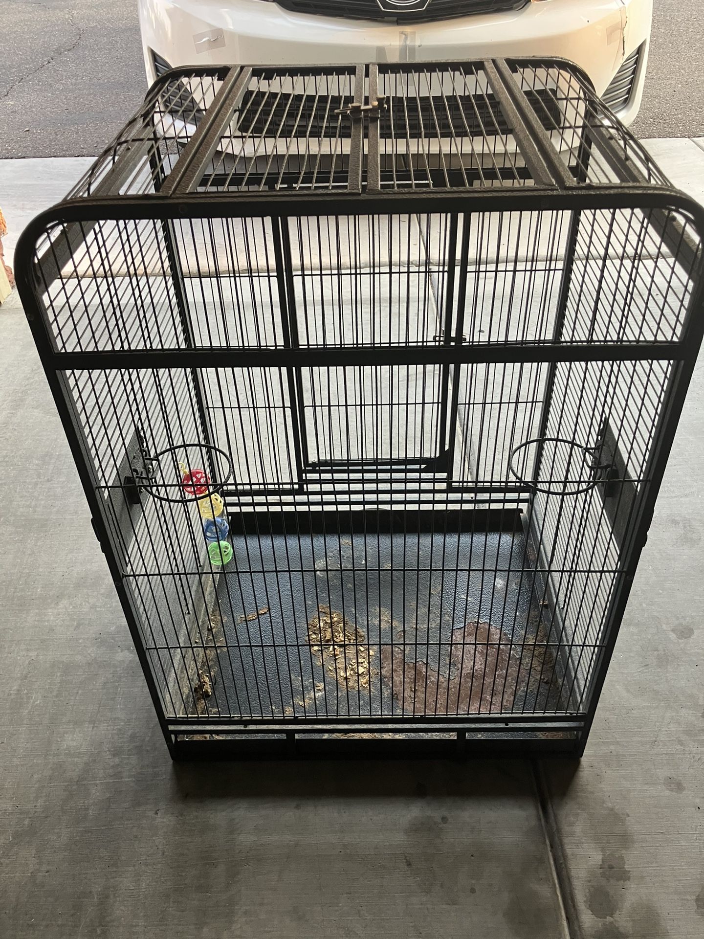Bird Cage