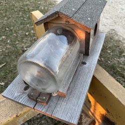Squirrel feeder