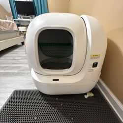 everything for your cat