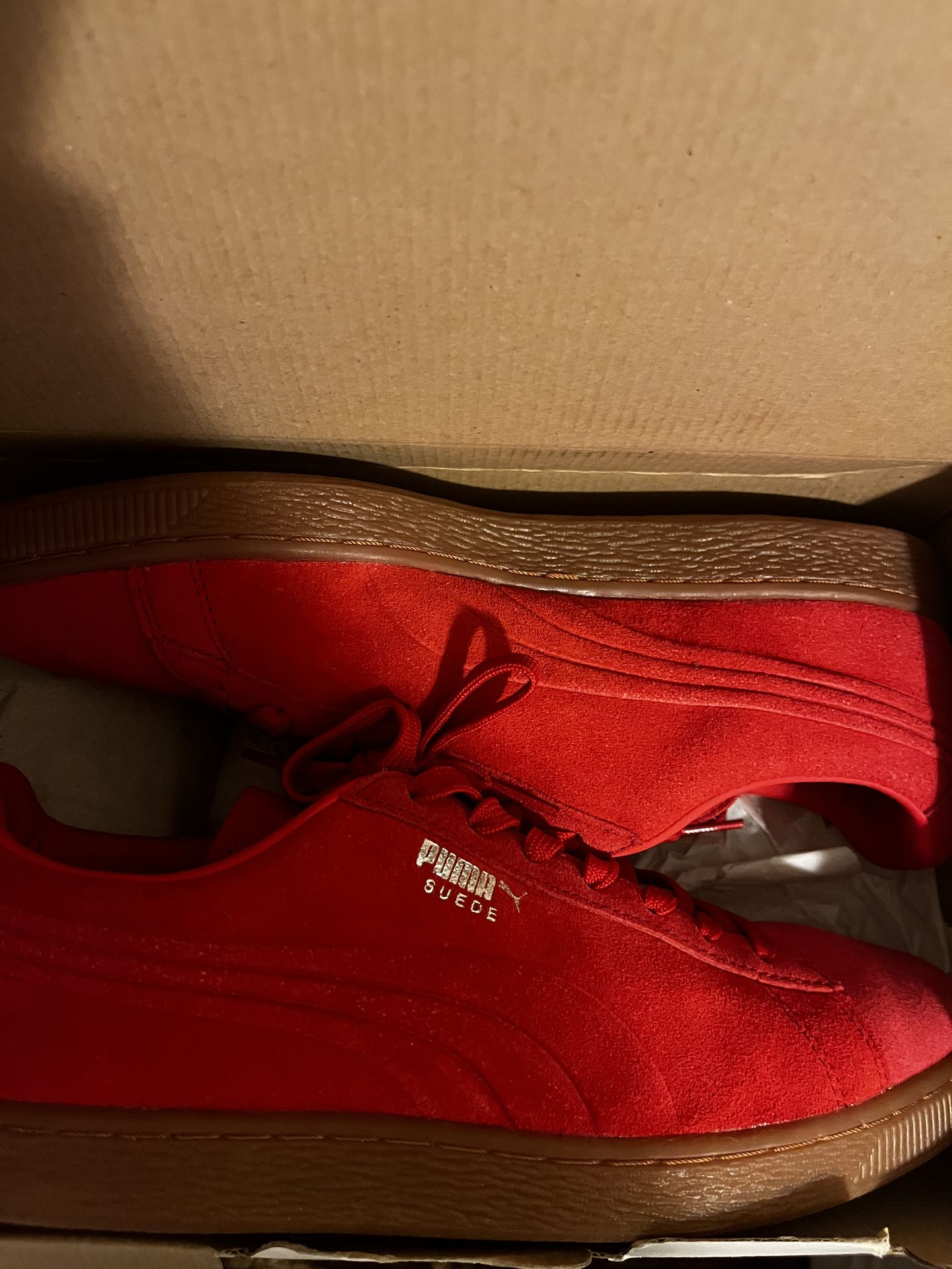 Pumas