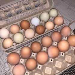 Eggs