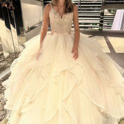 Quinceanera And Sweet 16 Dress 