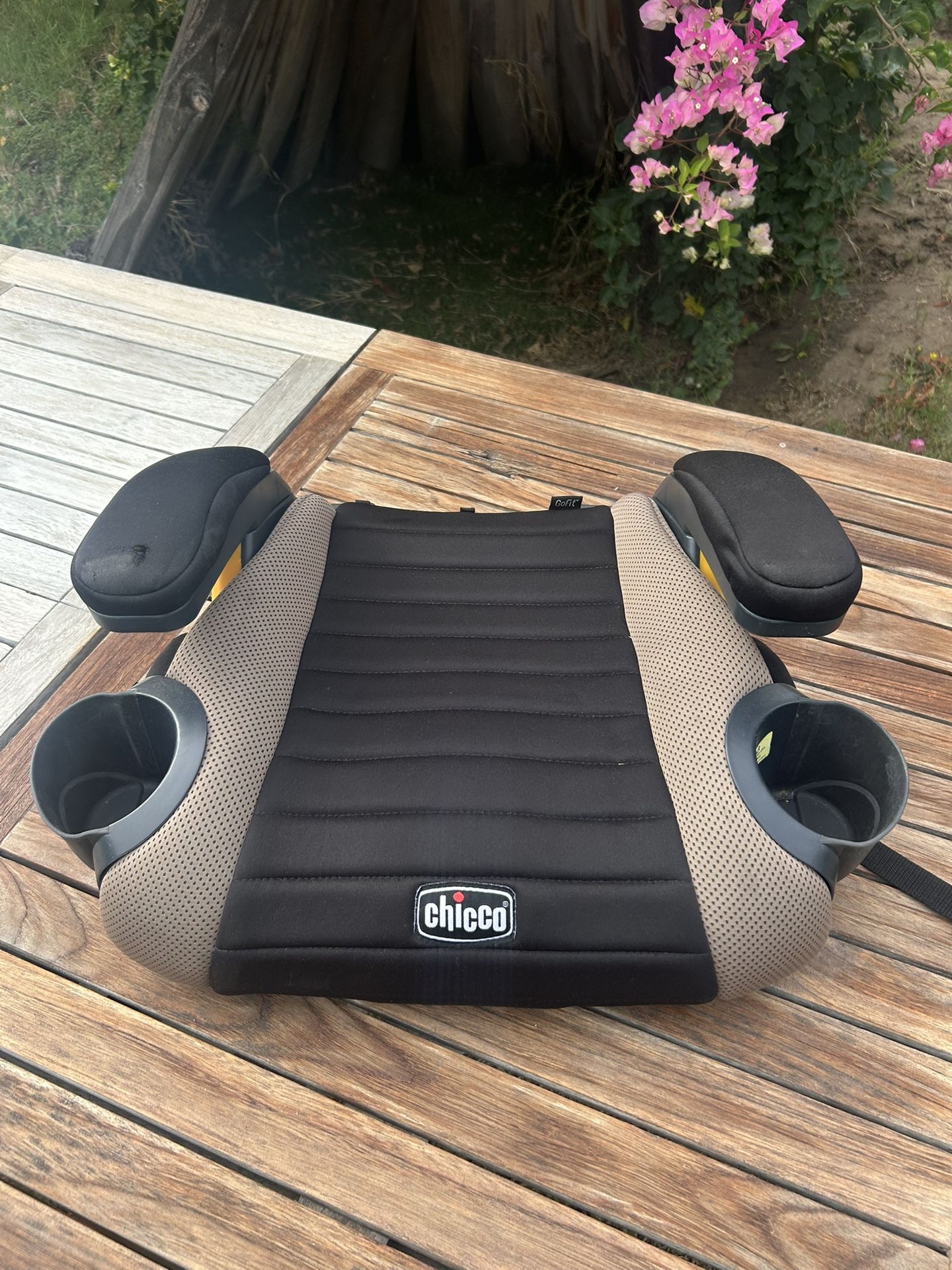 Chicco Booster Seat And Free Seat Protector