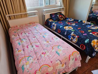 Two twin sized beds