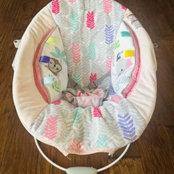 baby bouncer