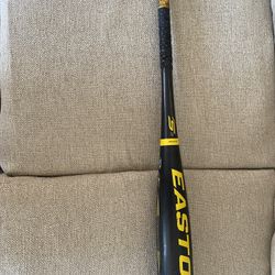 Easton Big  Barrel Baseball Bat