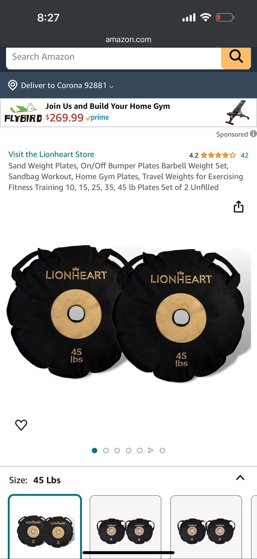 Lionheart Lifting Sand weight Plates (Pair of 2)