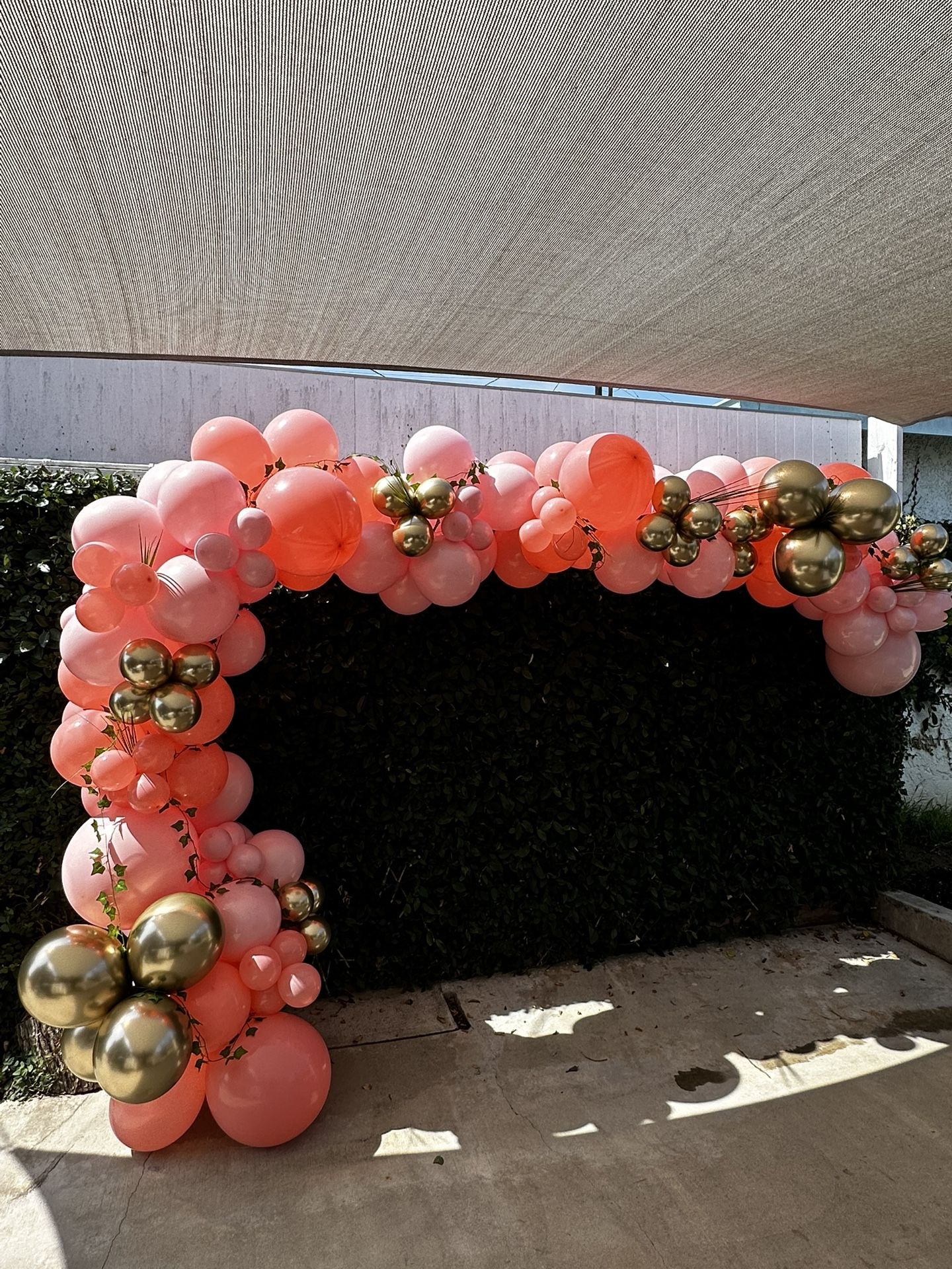 Balloon Garland