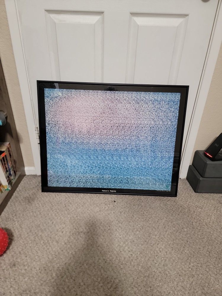 Vintage 1993 NVision Grafix Framed Magic Eye 3D "Nature's Majesty"