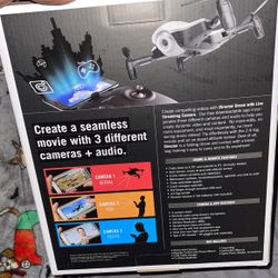 PROTOCOL DIRECTOR DRONE