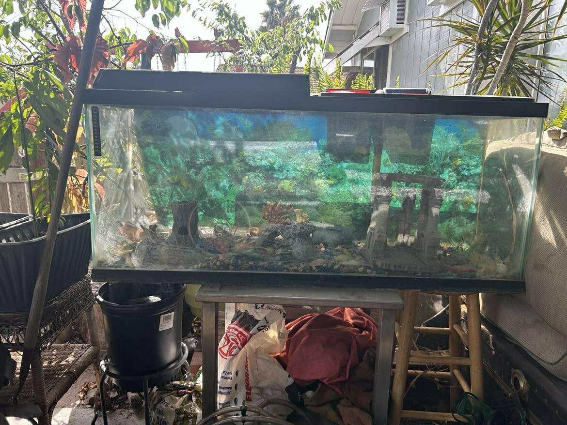 70 Gallon Fish Tank