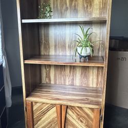 Early 70s Heavy duty Wood Book Shelf