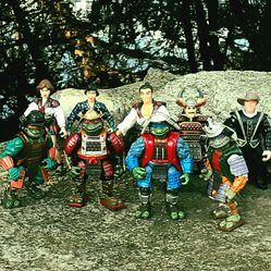 Samurai Turtles