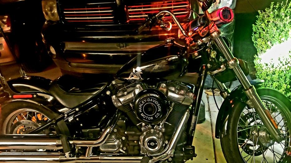 2020 Harley Davidson Softail Standard