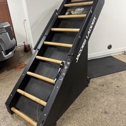 Jacobs Ladder Climbing Machine