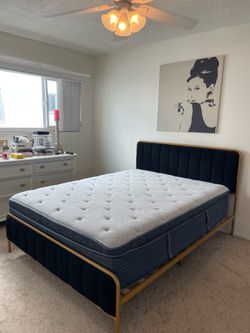 Queen Black Velvet & Gold Bed Frame + Mattress