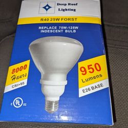 Deep Roof lighting Indecent Bulb
